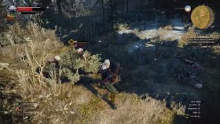 People who say that witcher 3 combat sucks, git gud!