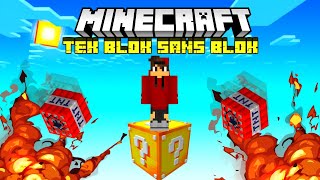 MINECRAFT AMA TEK BLOK ŞANS BLOĞUMUHAMMET EFE ARIARIGİLLERMINECRAFT