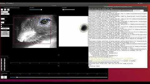 how to use FaceMap (unsupervised rodent behavior analysis)