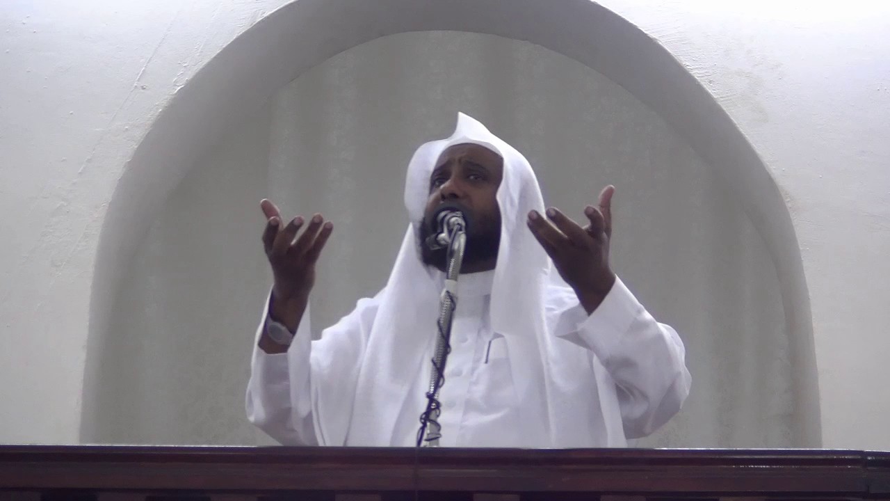 وصف الحور العين.  وصف رائع.  _ الشيخ محمود الحازمي