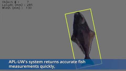 ELECTRONIC MONITORING FOR FISHERIES