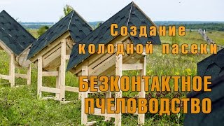 Установка колодной пасеки. Колодное пчеловодство.