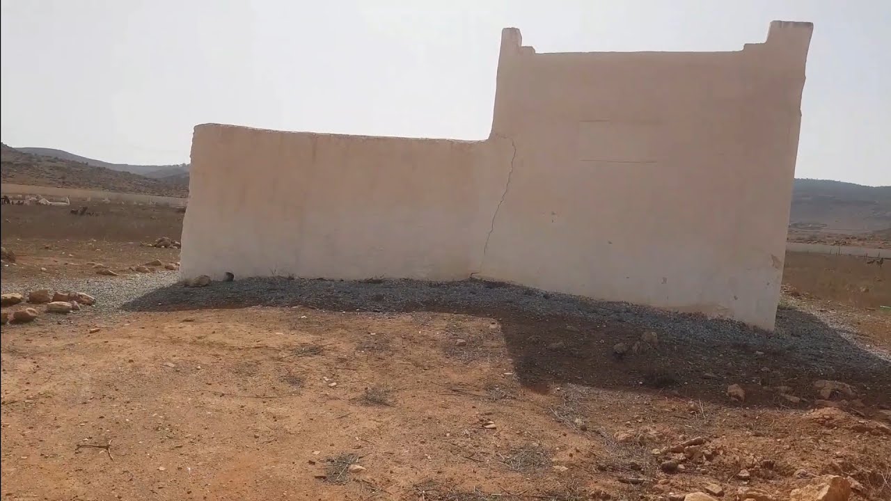 لحبيب في زيارة ضريح سيدي صديق منطقة حاسي بركان