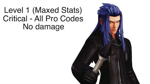 Data Saïx (KH3) - Critical Level 1 (Max Stats) - All PRO Codes - No Damage