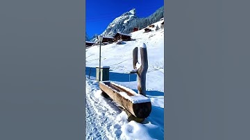 سورة العصر❄️|🤲Surah Al-Asr