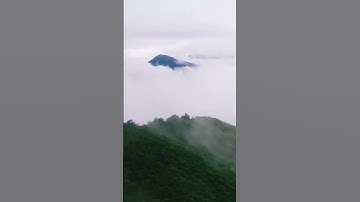 مقطع بنفس طويل عجيب من سورة النمل لعنتر مسلم (فتوكل على الله..)-surah an naml antar muslim