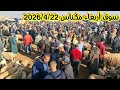 سوق أربعاء مكناس 2026 4 22 لحوالى وضروبات تالعيد وبقرات وعجول كزاريين وخيول وماعز