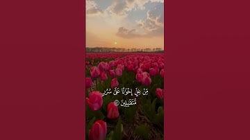 سورة الحجر #عمير_شميم #اكسبلور #قرآن #المصحف #explore #edit