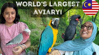 WORLD’S LARGEST BIRD PARK! | 3,000 🕊️|  20 ACRES!! 🇲🇾