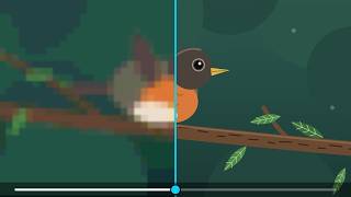 Why Does a Video Start Blurry, Then Turn Sharp? screenshot 1