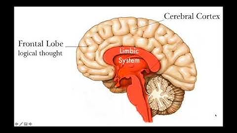 Webinar Herbert Puchta (16/Aug/19): Helping Teens to Think beyond Language