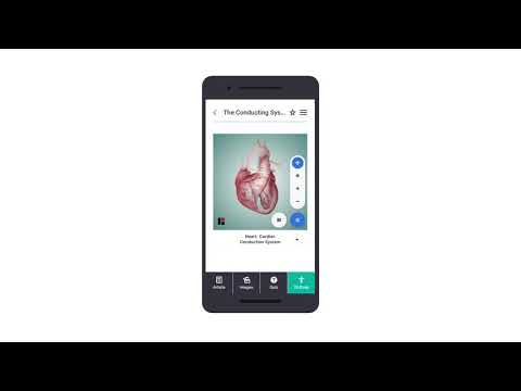 Teach Me Anatomy Mobile Application