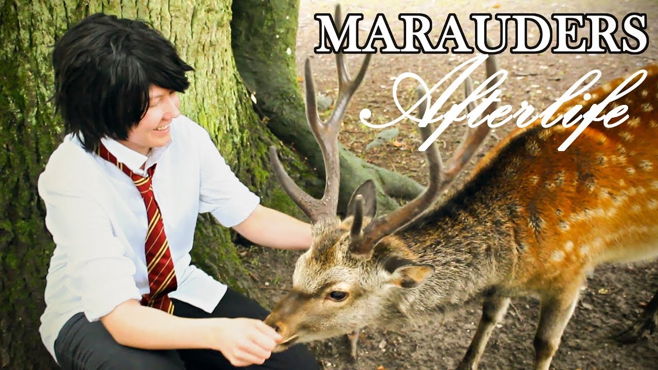 [CMV] Marauders - Afterlife