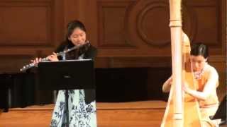 k299 Wolfgang Amadeus Mozart - Flute and Harp Concerto