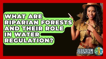 What Are Riparian Forests And Their Role In Water Regulation? - Ecosystem Essentials