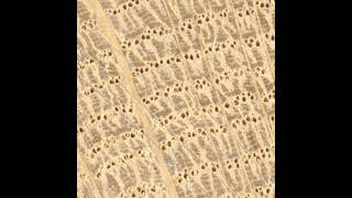 73 - Alternatives to Russian Birch Plywood?