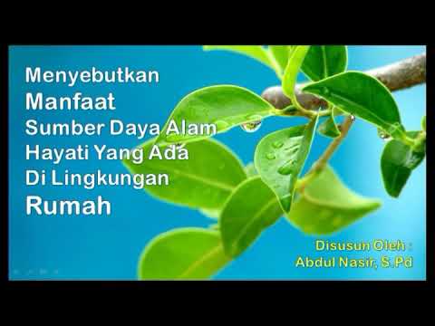 Ips Kelas 4 Manfaat Sumber Daya Alam Hayati Yang Ada Di Lingkungan Rumah Youtube