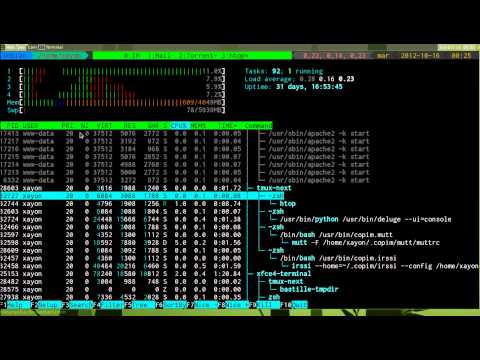 My terminal and awesome configuration