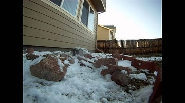 Axial scx10 Dingo Kit-First Run