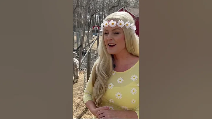 Fun Facts About Alpacas | Farm Adventure with Miss Daisy! Toddler Learning