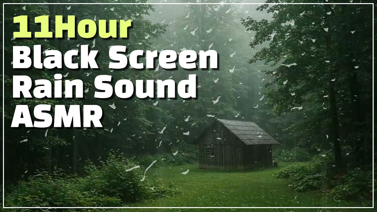 Cozy Cabin Rain Sounds in a Quiet Forest - Perfect for Sleep and ...