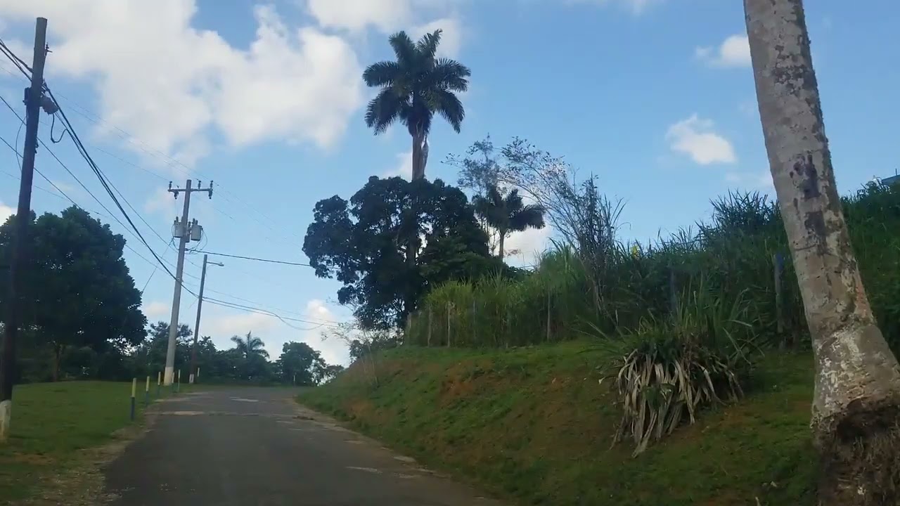 Moneague Teachers College | Jamaica