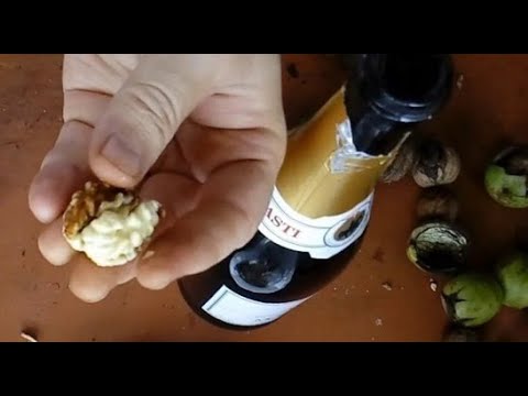 Video: Kako Narediti Omako Pesto Z Orehi