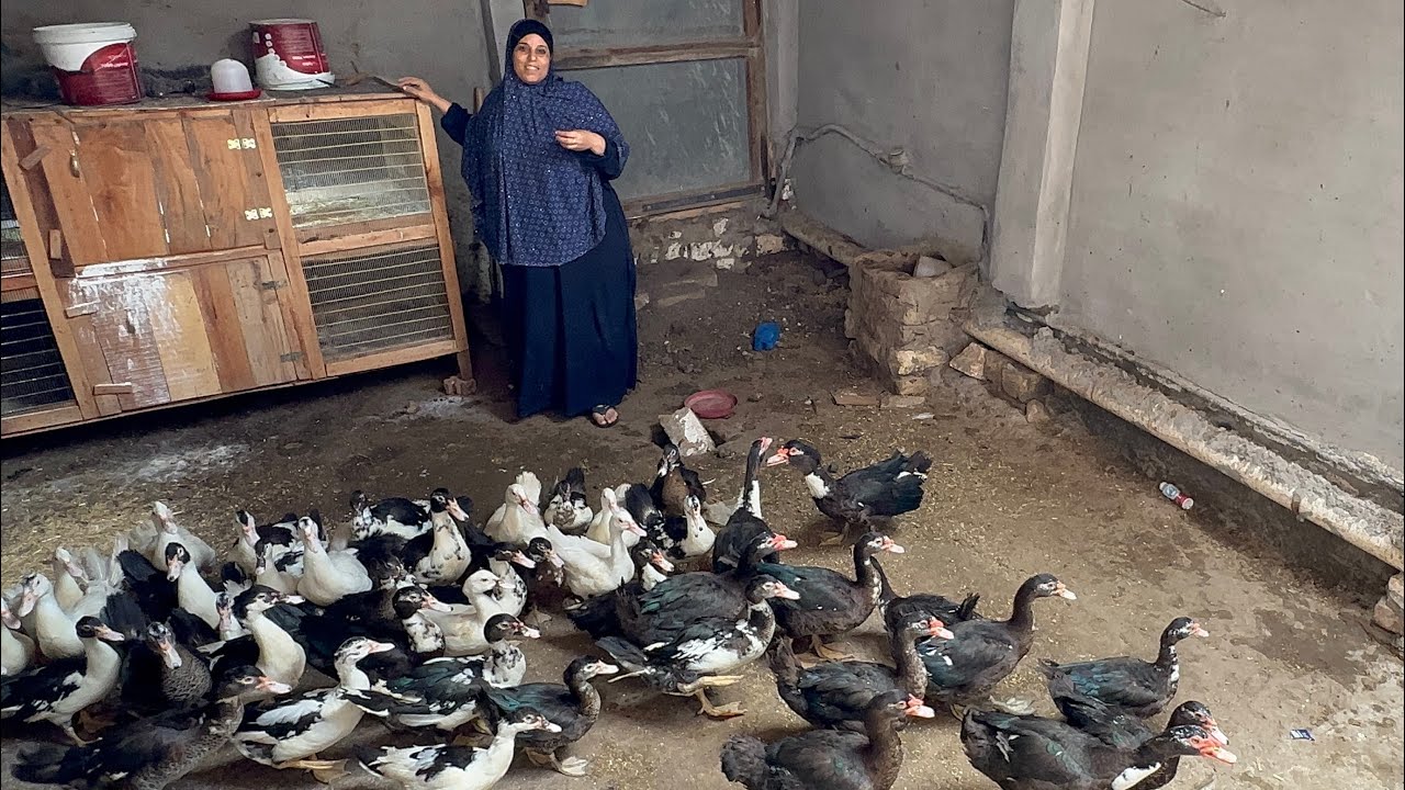 شغلتنا وأساسنا بدأنا من هنا وبفضل لله عشنا حلوها ومرها الايد الشقيانه ديما مستوره وشبعانه