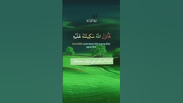 القرآن الكريم حياتي @اكسبلور@راحه_نفسيه #المصحف #تيك_توك #دويتو