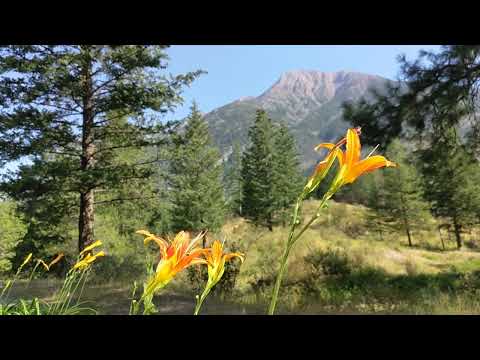 Guided Meditation on Abundance (11 minutes)