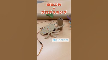 自由工作 #工作 #プログラミング #マイクロビット #microbit #プログラミング教育 #steam教育 #夏休み