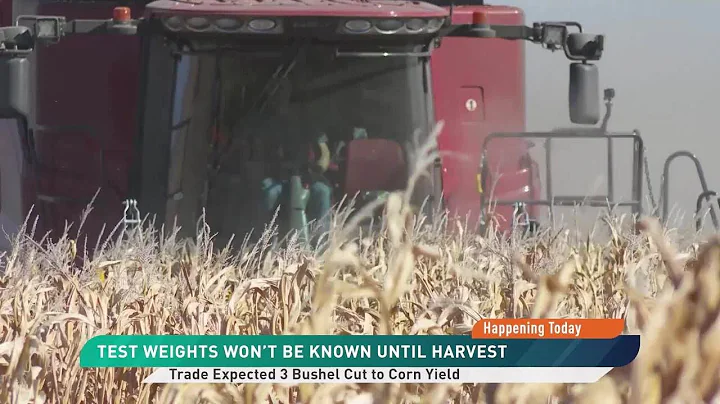 Will USDA Cut Potential Record Yields?