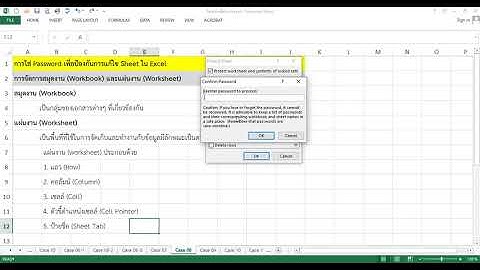 การใช้งาน_Excel_Case_08_การใส่ Password เพื่อป้องกันการแก้ไข Sheet ใน Excel
