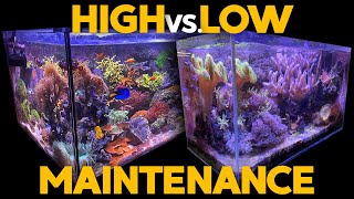 135g & 17g Reef Tank Updates: Do you want a high or low maintenance reef tank?