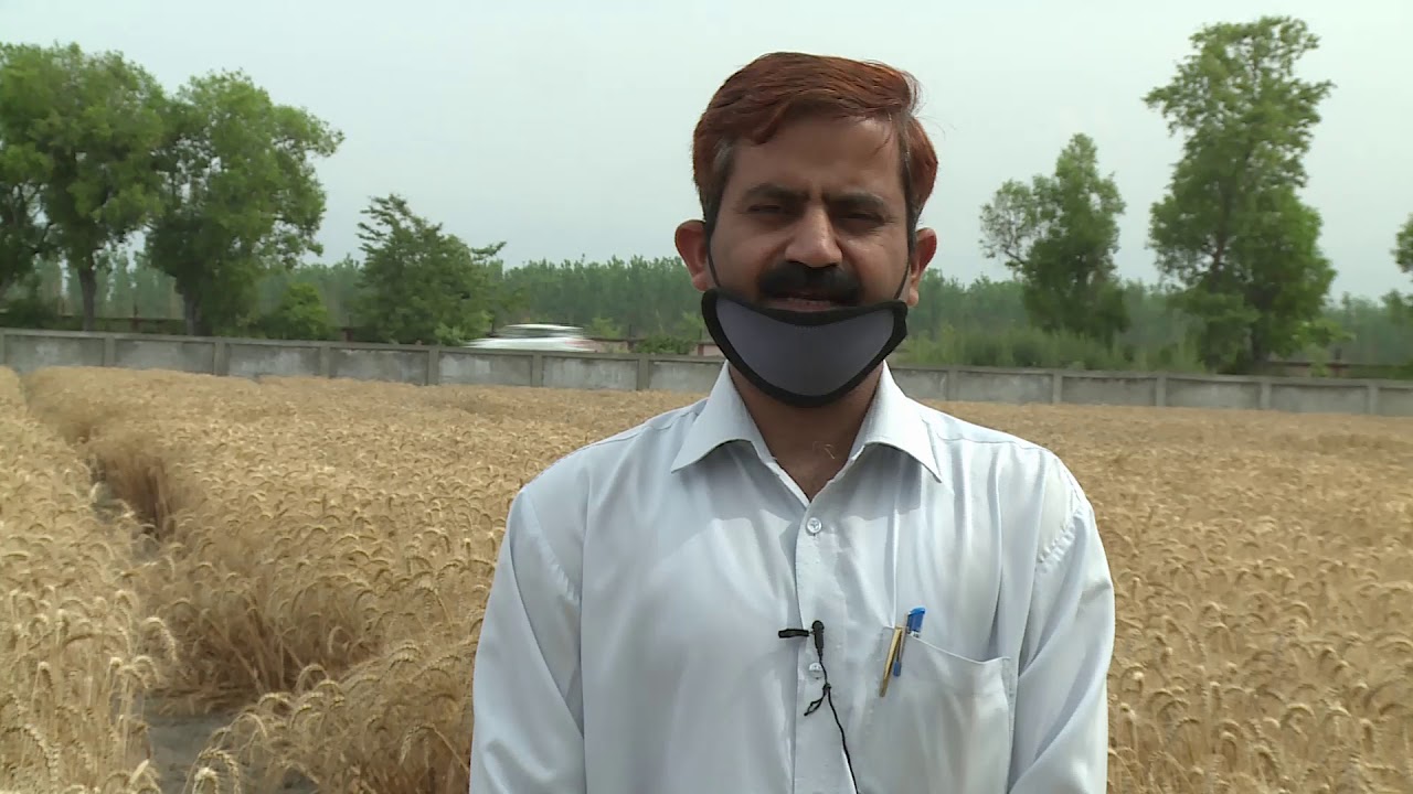 Pantnagar Update 20 04 2020