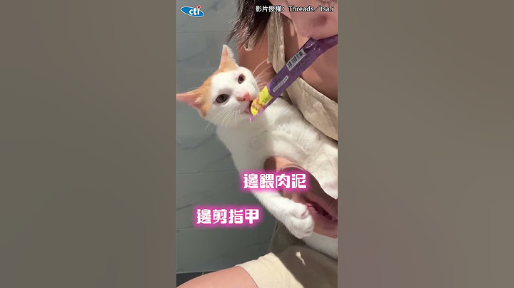 【到底要多忙】正妹幫貓剪指甲「嘴刁肉泥+哼歌」哄騙 超強技術奴才們快學起來😍#shorts