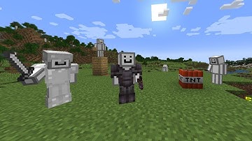 I fell into a Minecraft Time Loop