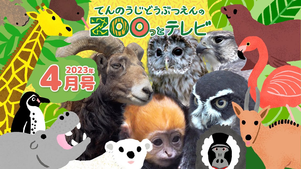 ブラジル王室は何を受け取るのでしょうか？