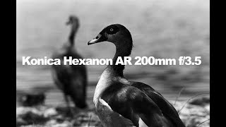 Konica's Best Duck Lens, the Hexanon AR 200mm f/3.5 - YouTube