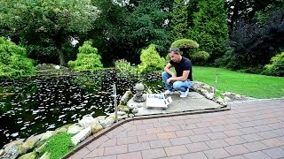 Modern Koi Blog #1382 - Michael's Water Analysis