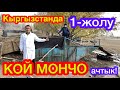 Кыргызстанда 1-жолу көчмө КОЙ МОНЧОСУН ачтык  ~  Күнүнө 1000 кой БЫШСА болот