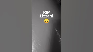 bad mouse trap trapped a lizard pls stop lizards ur family will be dead💐RIP