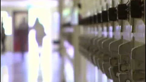 Yearbook Chronicles Trailer