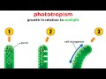 Mechanisms of Plant Growth