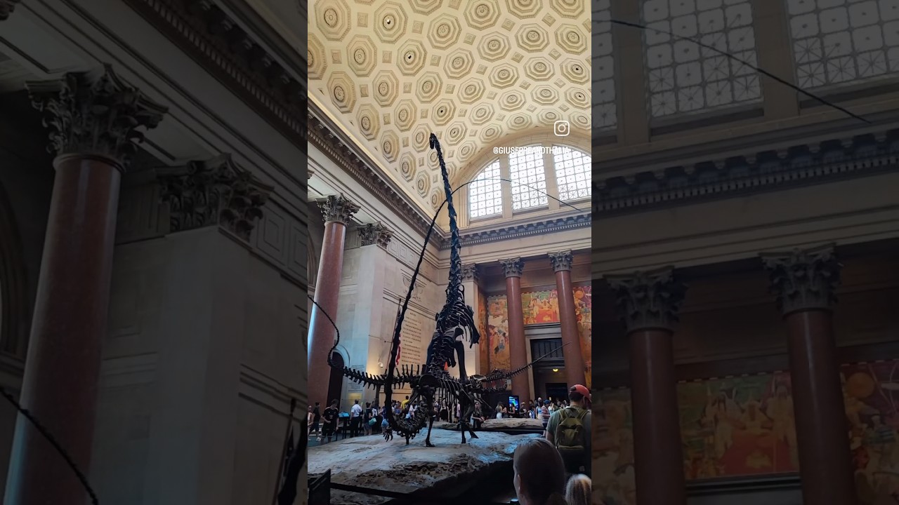 A DAY AT THE NATIONAL HISTORY MUSEUM IN NYC! ❣️