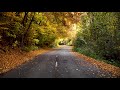 Музыка под вязание /Best Relaxation Music / Спокойная музыка / музыка для йоги / Relaxation Music