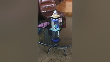 Bài thơ Bác ơi của Tố Hữu thể hiện Minh Ngọc