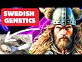 Genetic Mysteries of Sweden ｜ The North vs  South Divide Explained