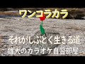 それがしぶとく生きる道