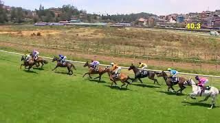 GOLDEN MARINA wins The Stewards Cup